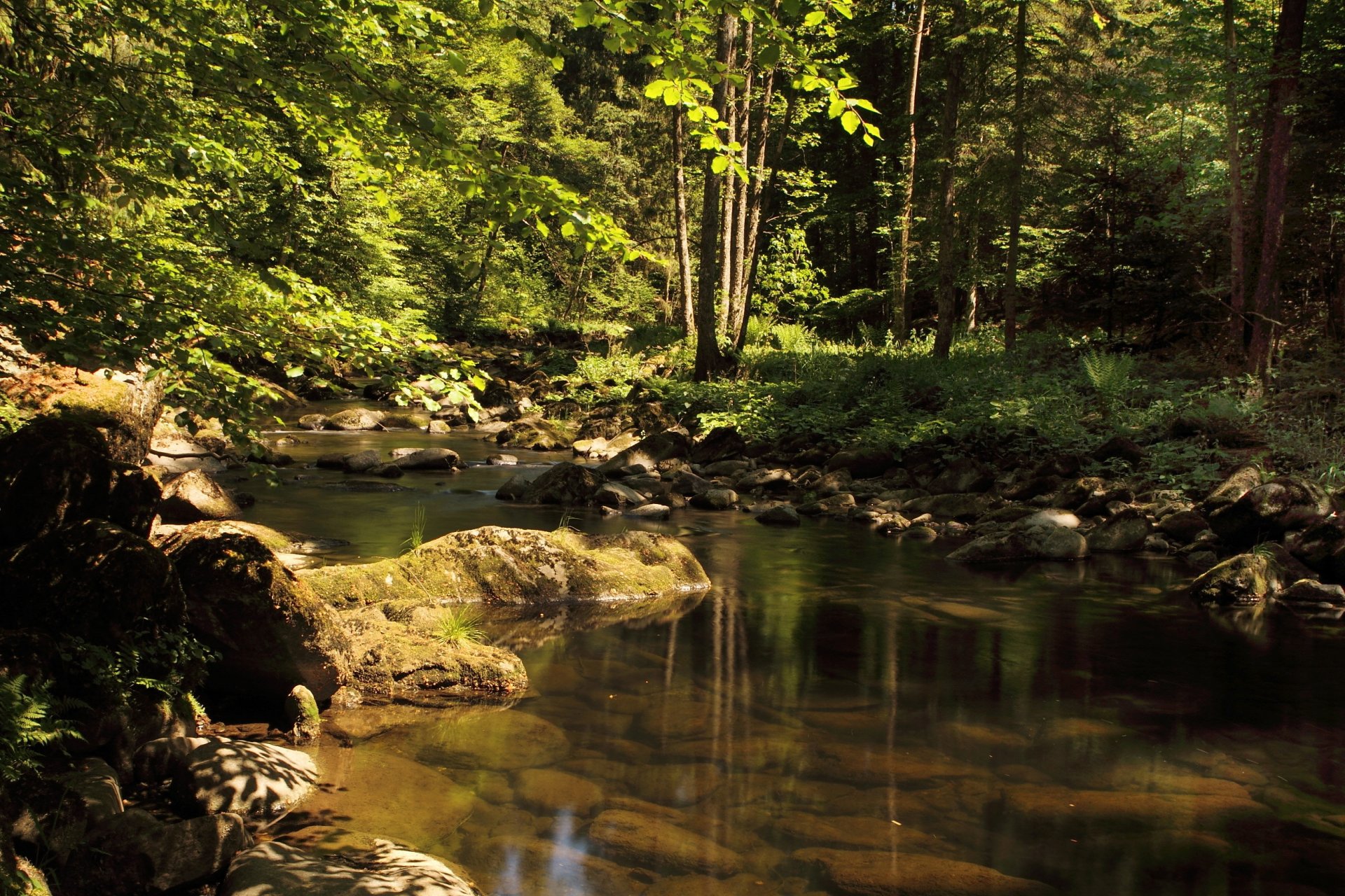 natur wasser steine bäume wald