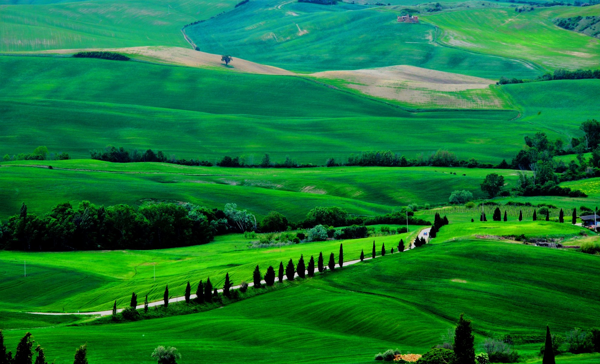 italie toscane champs route arbres