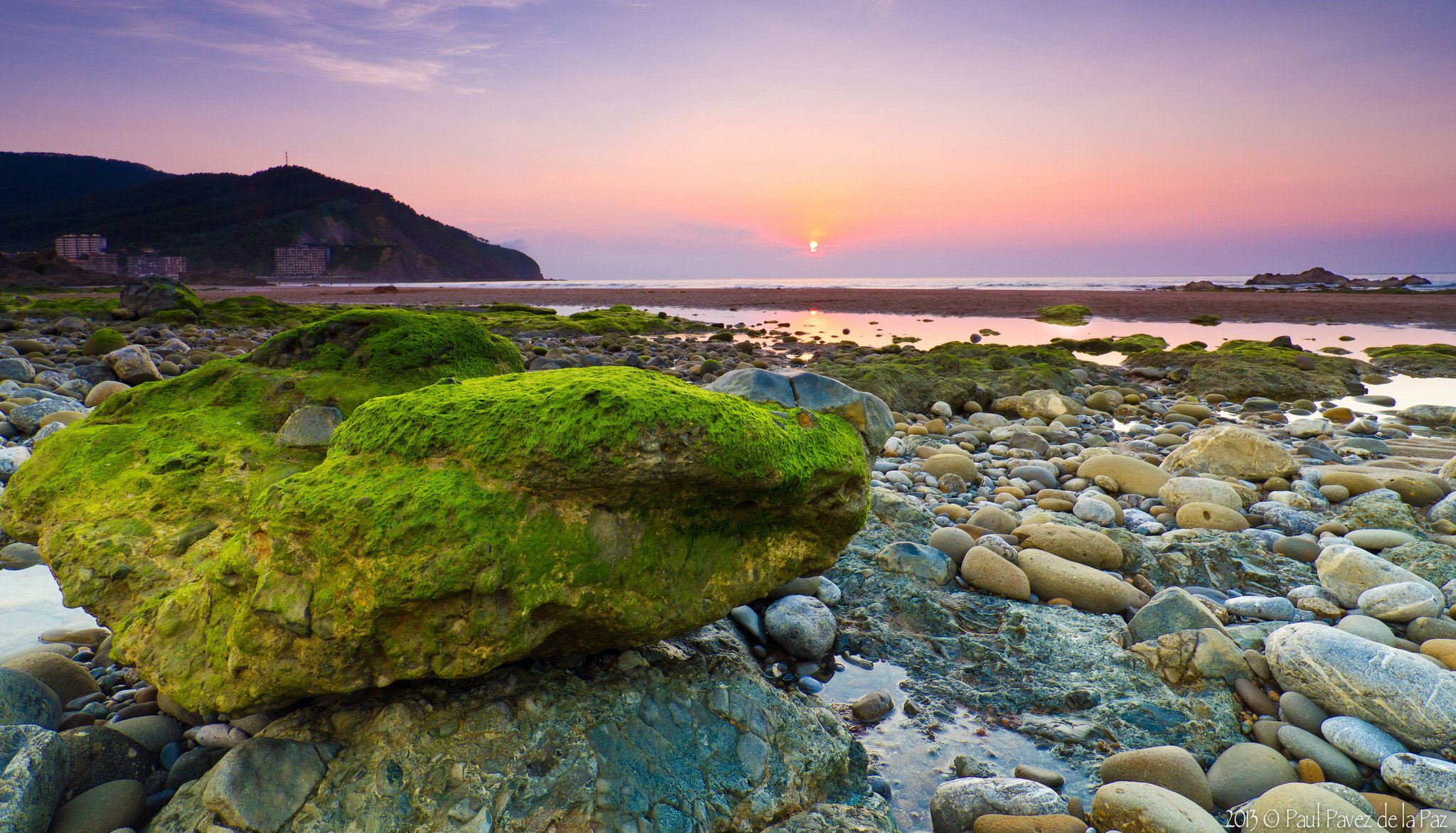 ea stones stone algae morning dawn