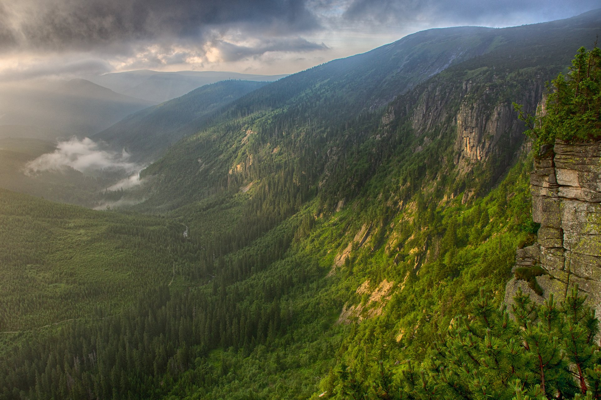 mountain forest valley river fog morning