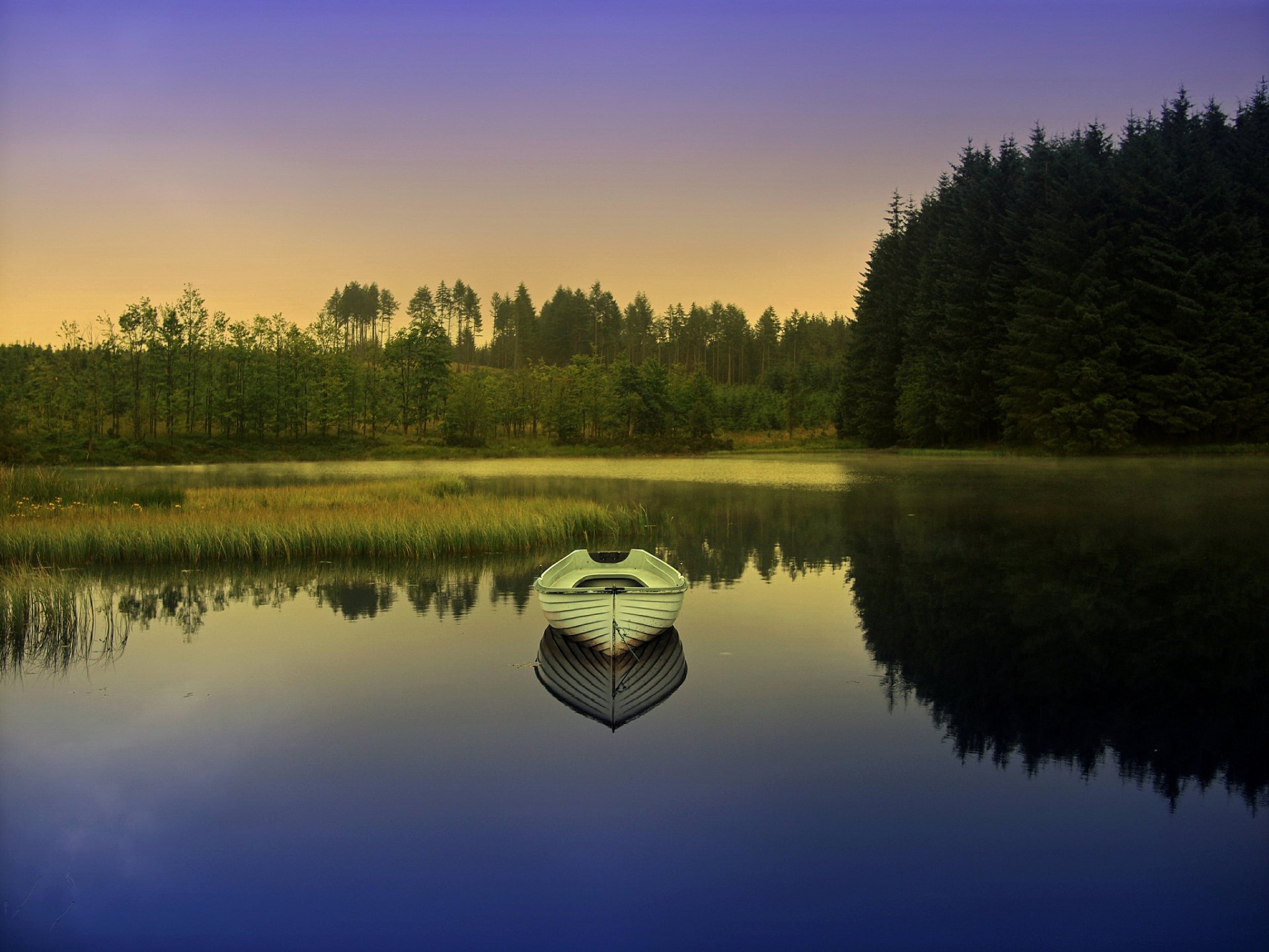 forêt lac bateau aube