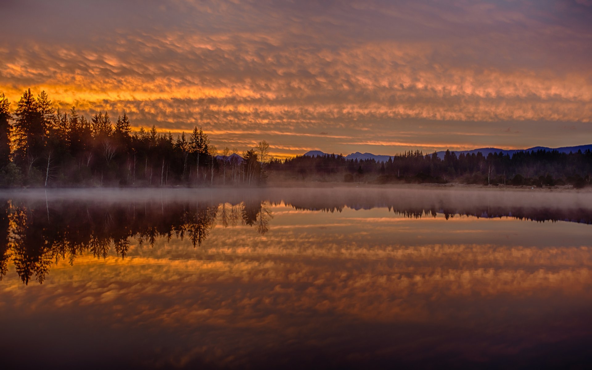 lac kirchsee bavière allemagne aube matin brouillard réflexion forêt