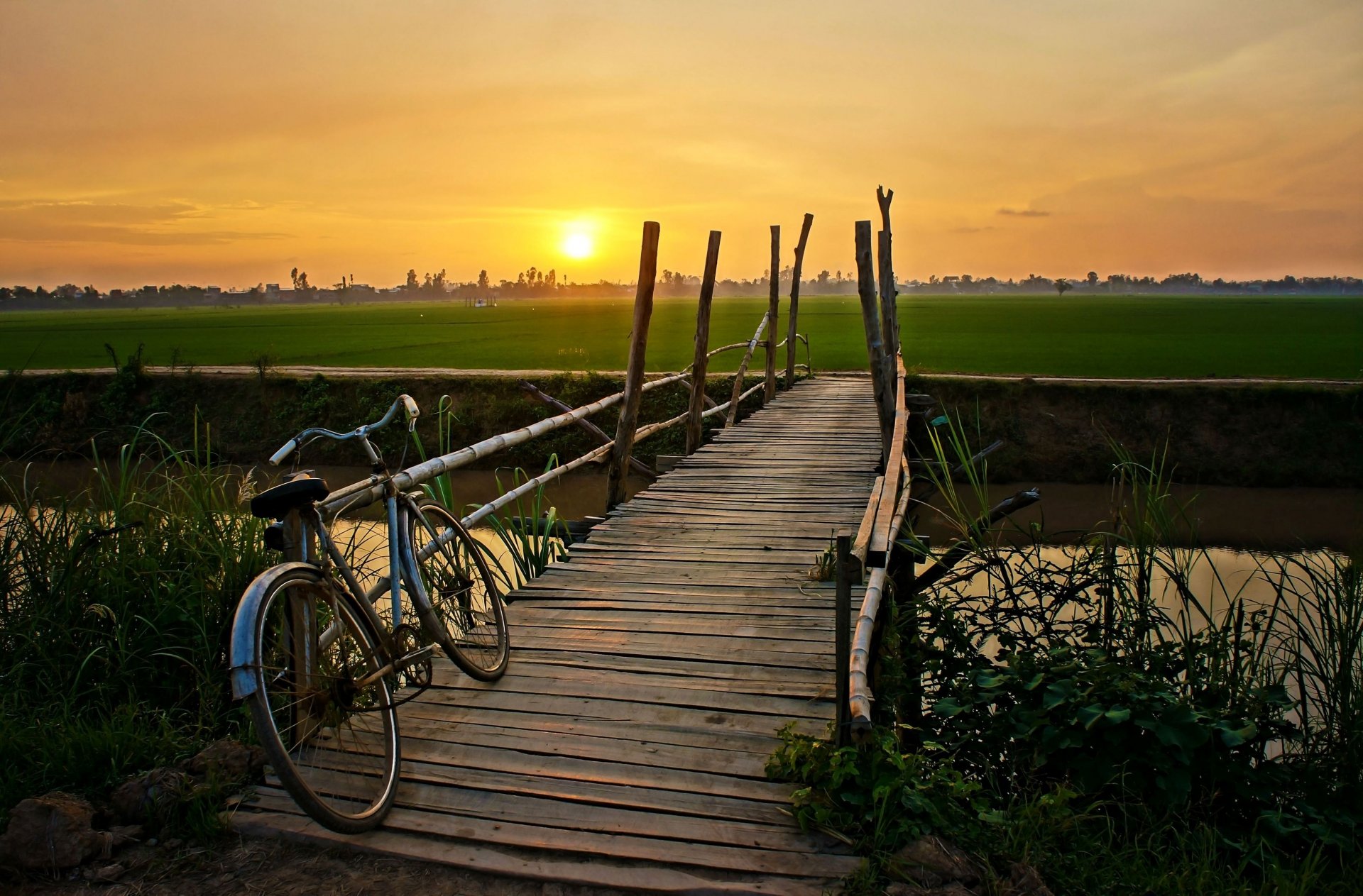 mood bike bridge green plant leaves water lake river the field sun tree night sunset sky background bicycle wallpaper widescreen full screen hd wallpaper