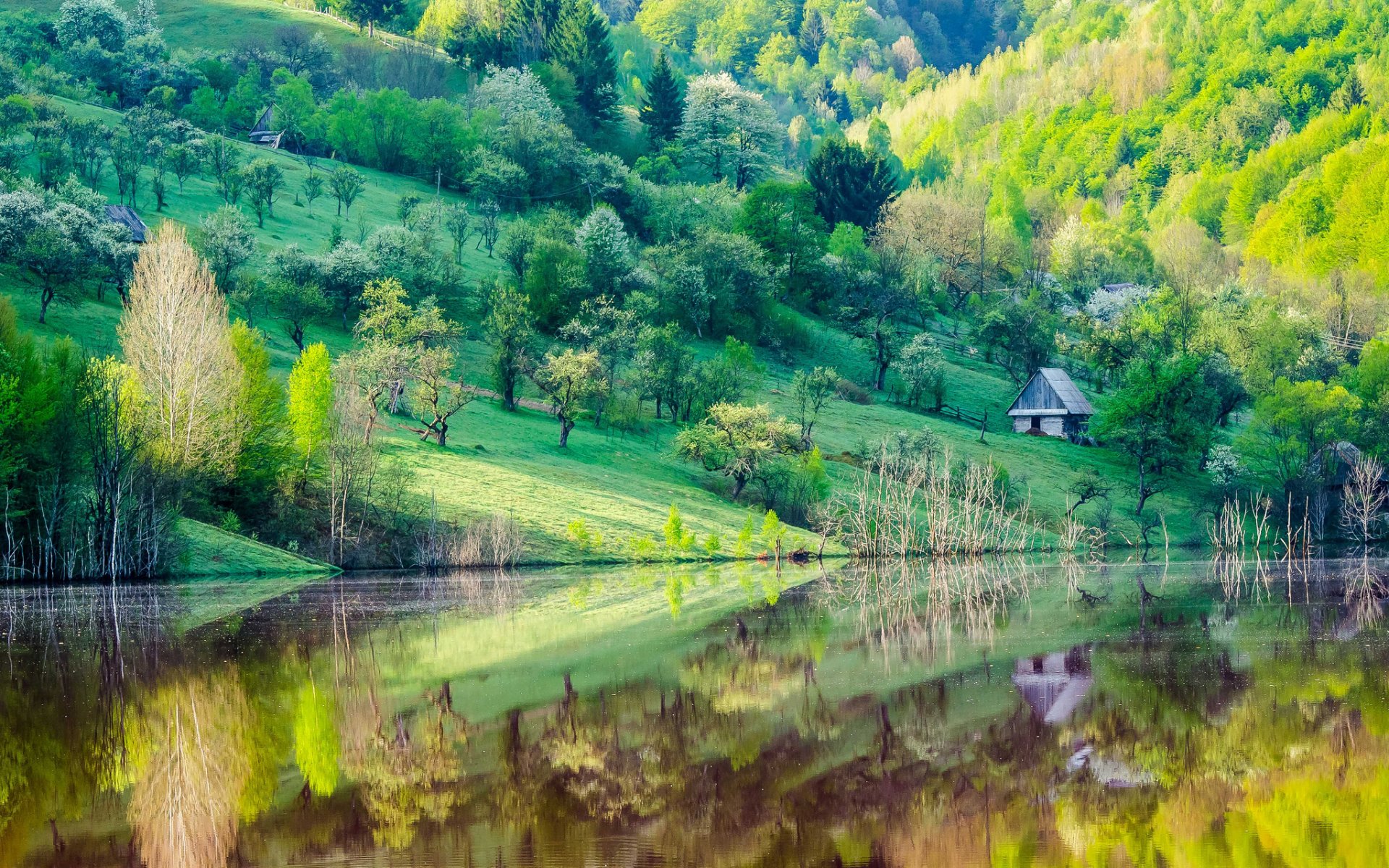 montagna pendio alberi case lago riflessione primavera