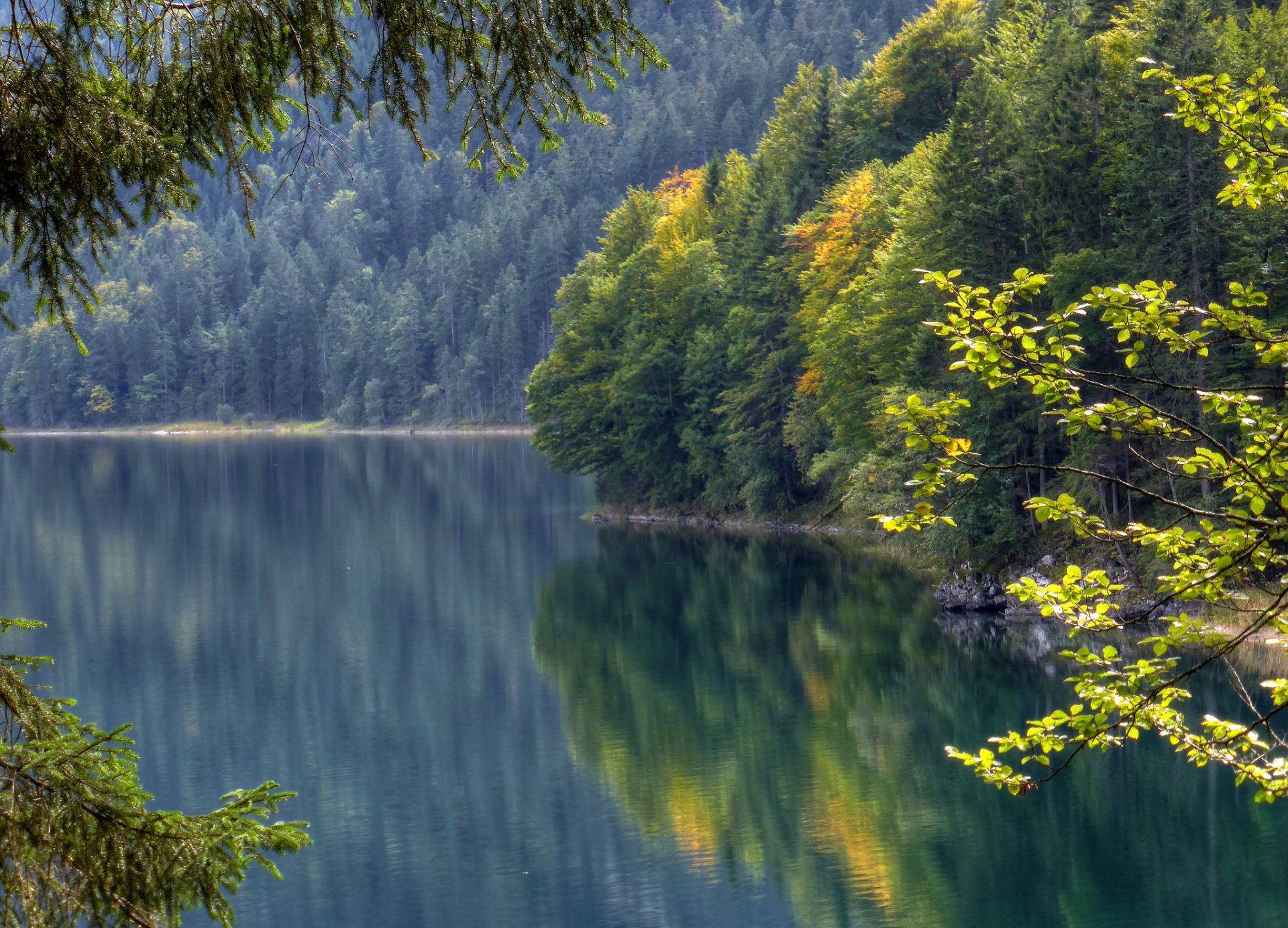 озеро eibsee бавария германия озеро айбзее водная гладь лес отражение осень