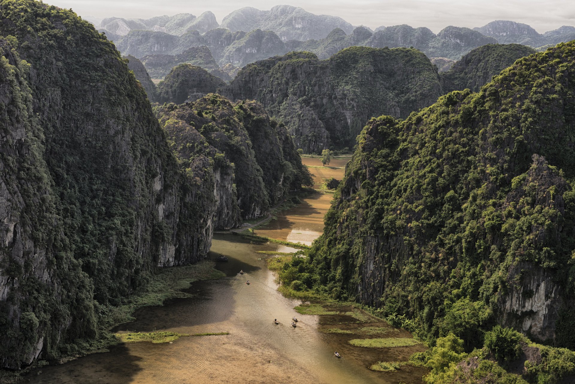 near tam coc vietnam mountain forest river