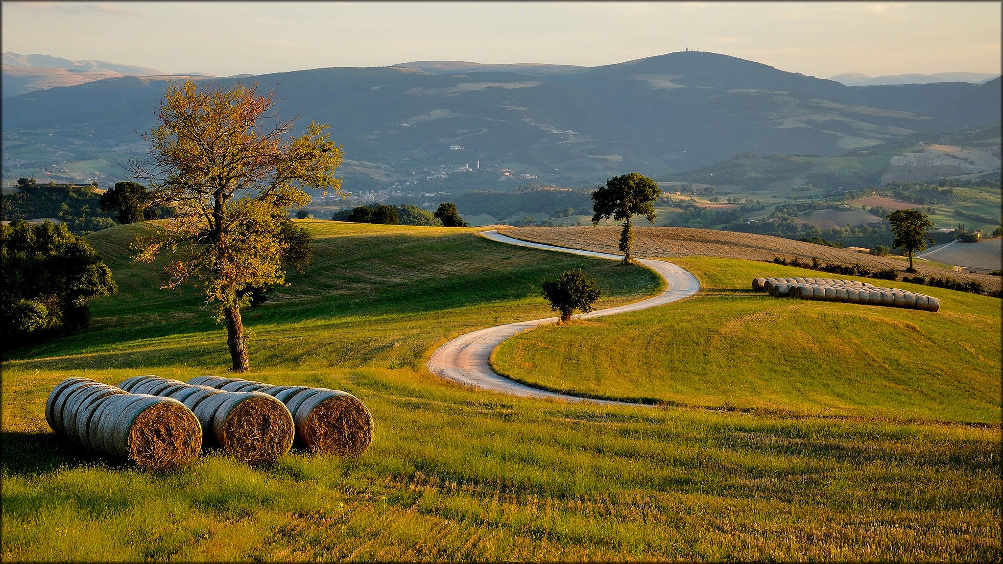 italia collines champ arbres route soirée