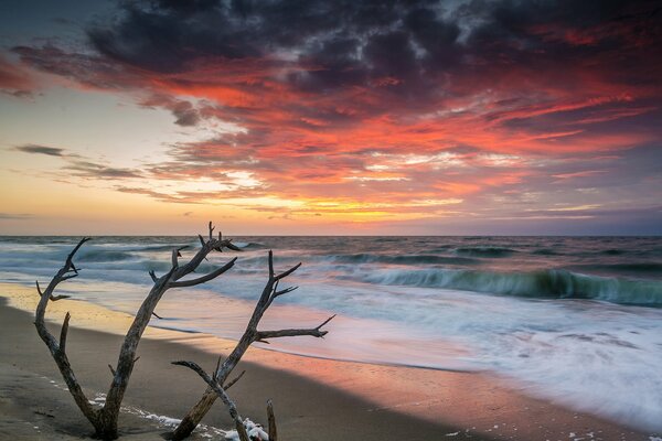 Bright sunset on the sea