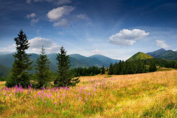 Toda la belleza de la naturaleza al pie de la montaña