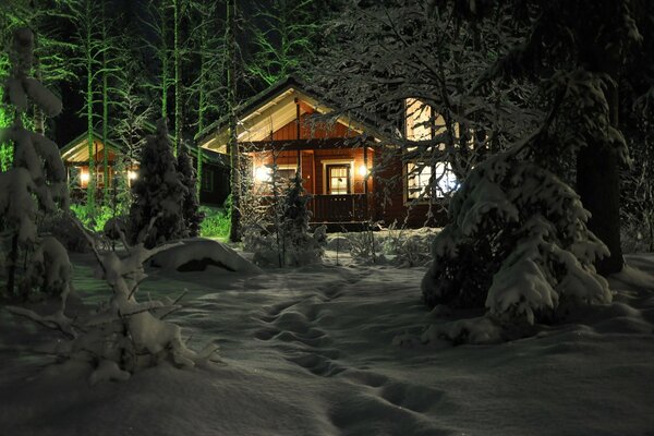 A hut in a winter coniferous forest