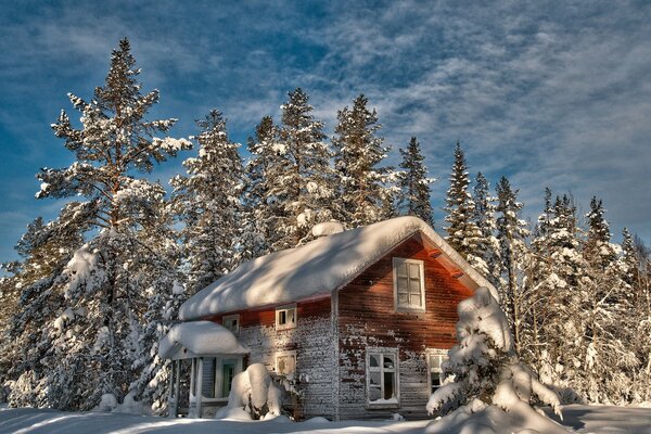 An abandoned house in the woods in snowdrifts