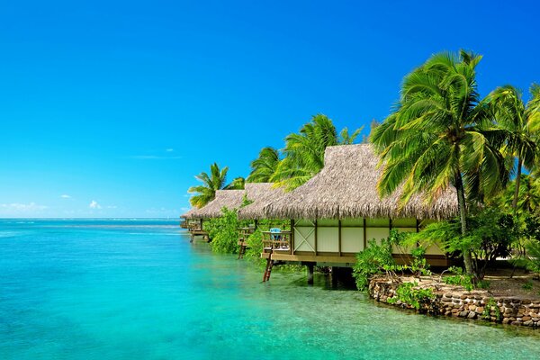 Il mare blu Delle Maldive Resort