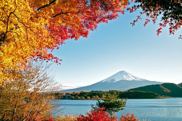 Los árboles de otoño mostraron en todo su esplendor la naturaleza