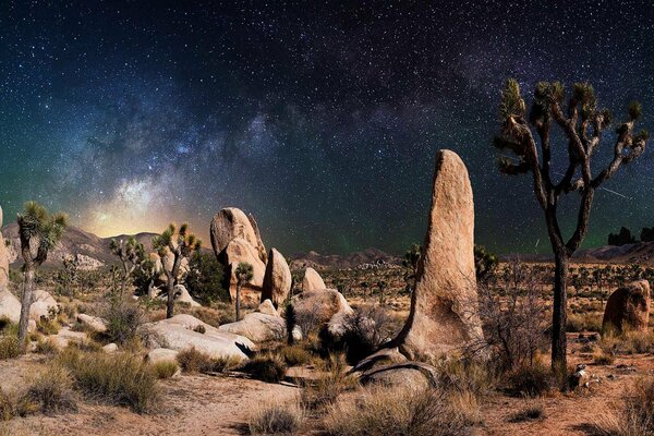 Somewhere in the desert under the stars