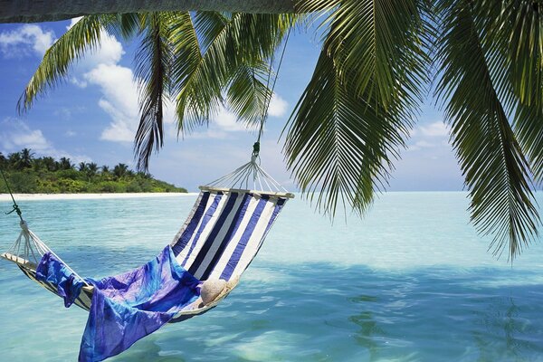 Relaxing in a hammock on the ocean