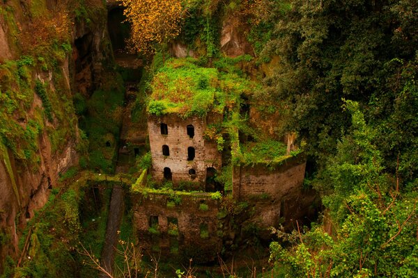 Rovine di un edificio ricoperto di verde