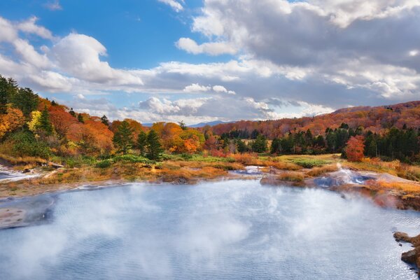 Beautiful autumn forest landscape