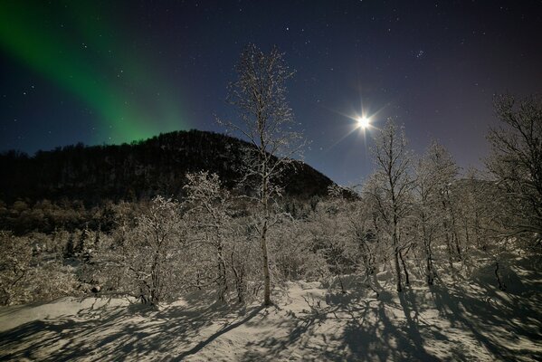 Winter Northern Lights in Norway