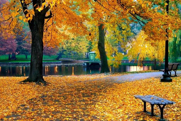 Schöner Teich im Herbstpark