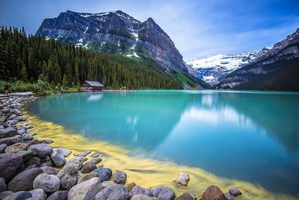 Foresta e montagne intorno al lago