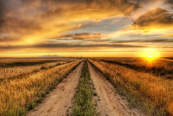 Route à travers un champ de seigle sur fond de soleil couchant et un très beau ciel