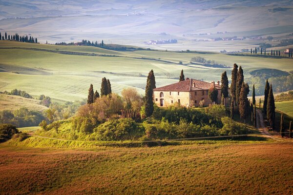 Green landscape of the countryside