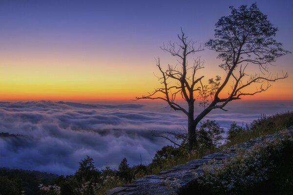 The top of the mountain at dawn