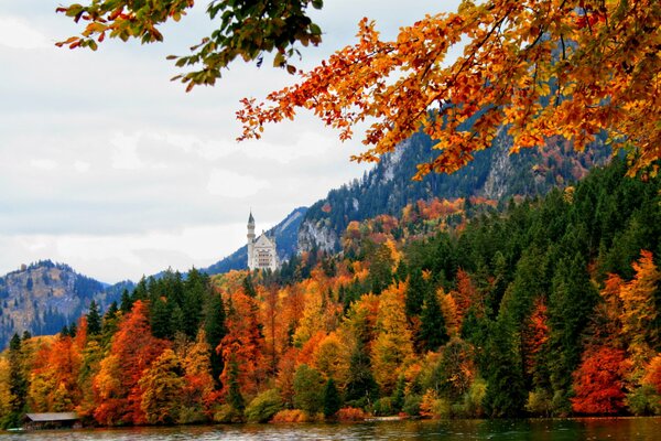 Baviera Schwangau natura autunnale