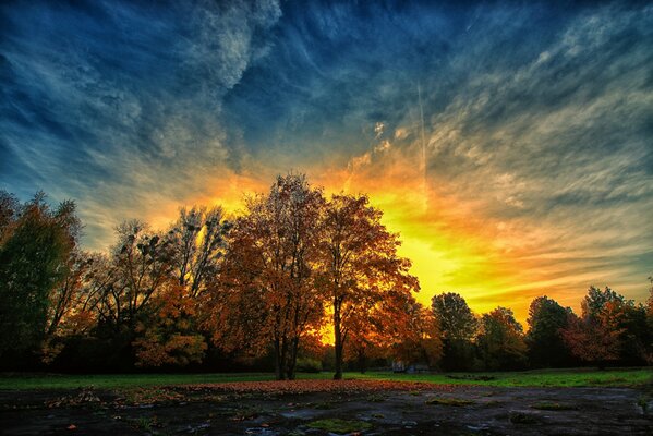 Coucher de soleil dans la soirée d automne dans le parc