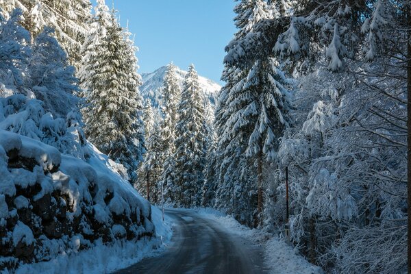 The road is surrounded by a spruce forest in the winter season