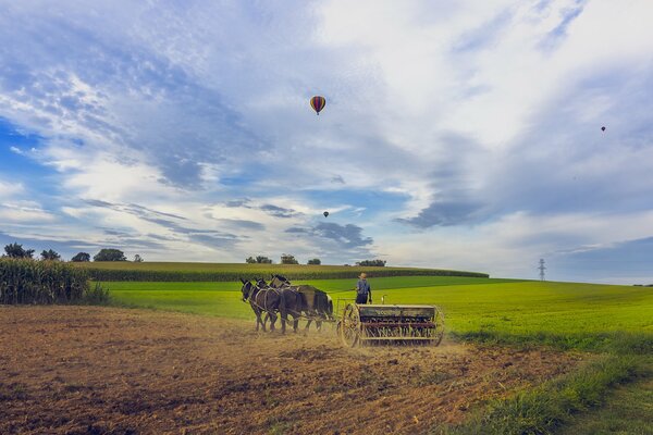 Flying balls and horses on the field