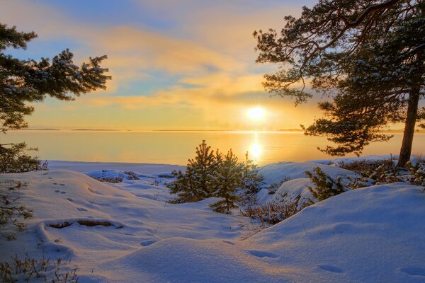 Winter nature on the lake shore