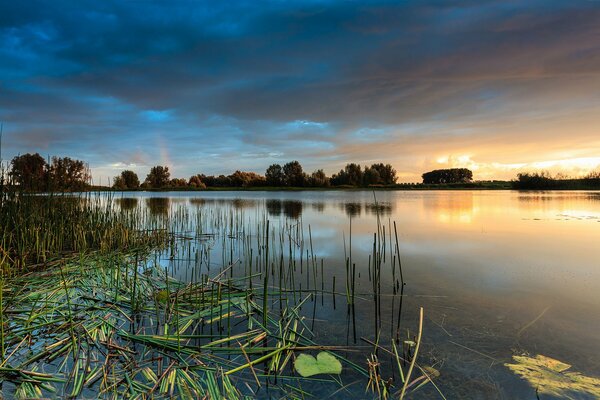 Lake on the background of a beautiful sunset