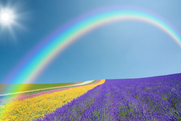 Hermoso arco iris sobre un campo de flores