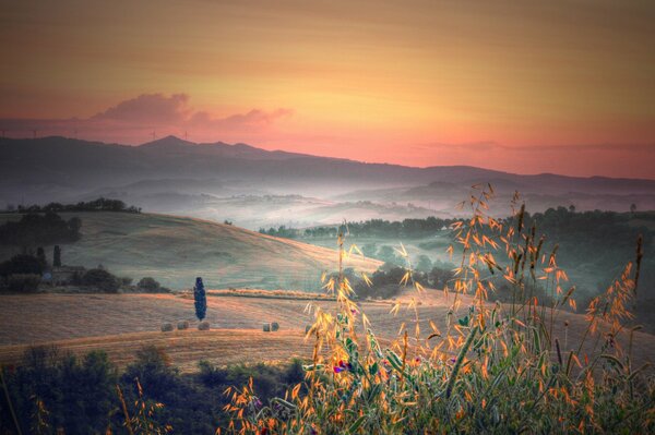 Champs d automne italiens