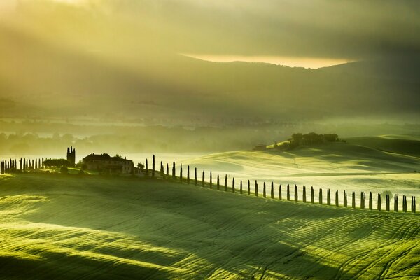 Image of Italian green fields, fog near the town