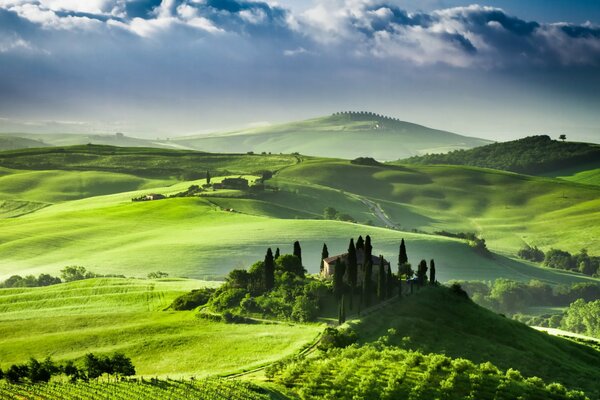 Image of green fields in Italy against the background of sunrise