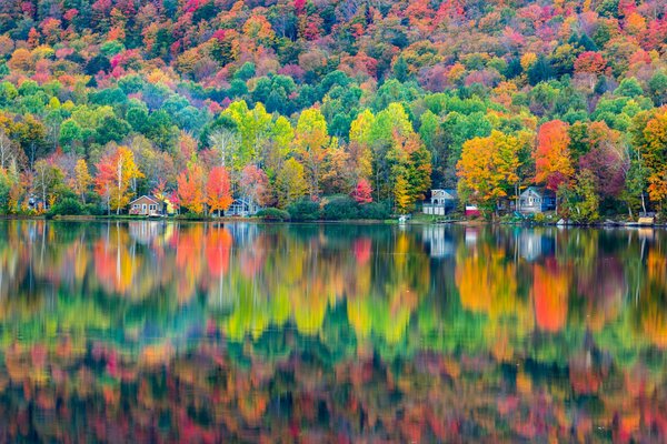 Reflexion des Herbstwaldes im Wasser