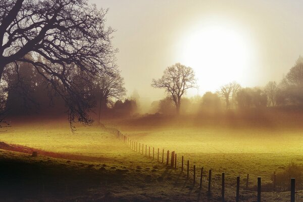 Nebligen Morgen Sonnenfeld