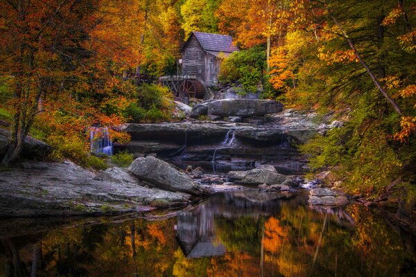 Maison dans la forêt près du lac en automne