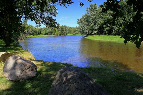 En medio del bosque encontrar un lago en el que viven los peces