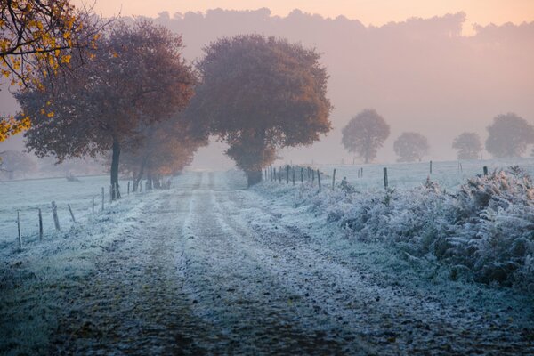 The first autumn frosts in the park