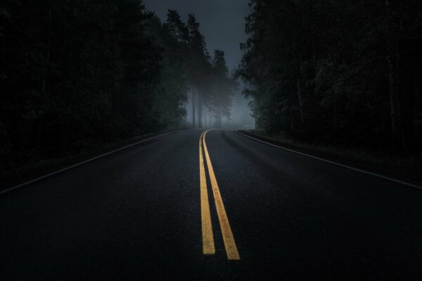 Nachtstraße im dunklen Wald