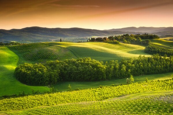 Campagne. Champs verts italiens