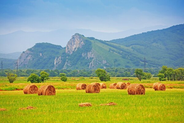 Meules de foin se trouvent sur l herbe