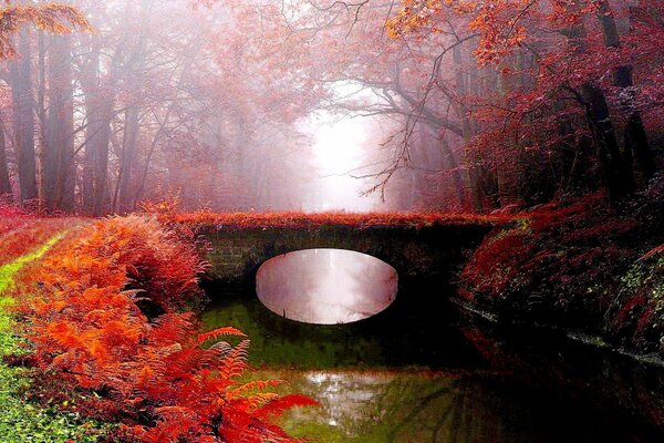 Brücke über den Fluss im Herbstpark