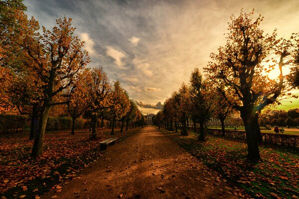 Herbststraße Abendplatz