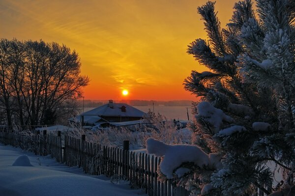 Beau coucher de soleil parmi les arbres et les maisons