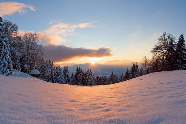 Gel et soleil, forêt et ciel