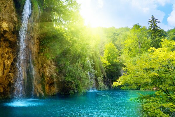 Die Sonne erhellt den Wasserfall und den grünen Wald